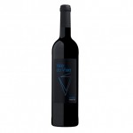 ftp_vinhos_vale_do_viso_72